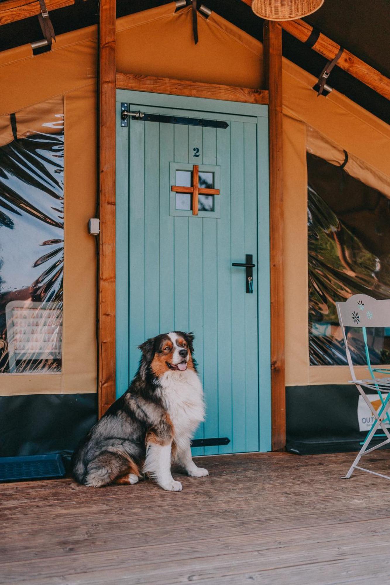 Rendes Glamping Hotel Balatonrendes Ngoại thất bức ảnh