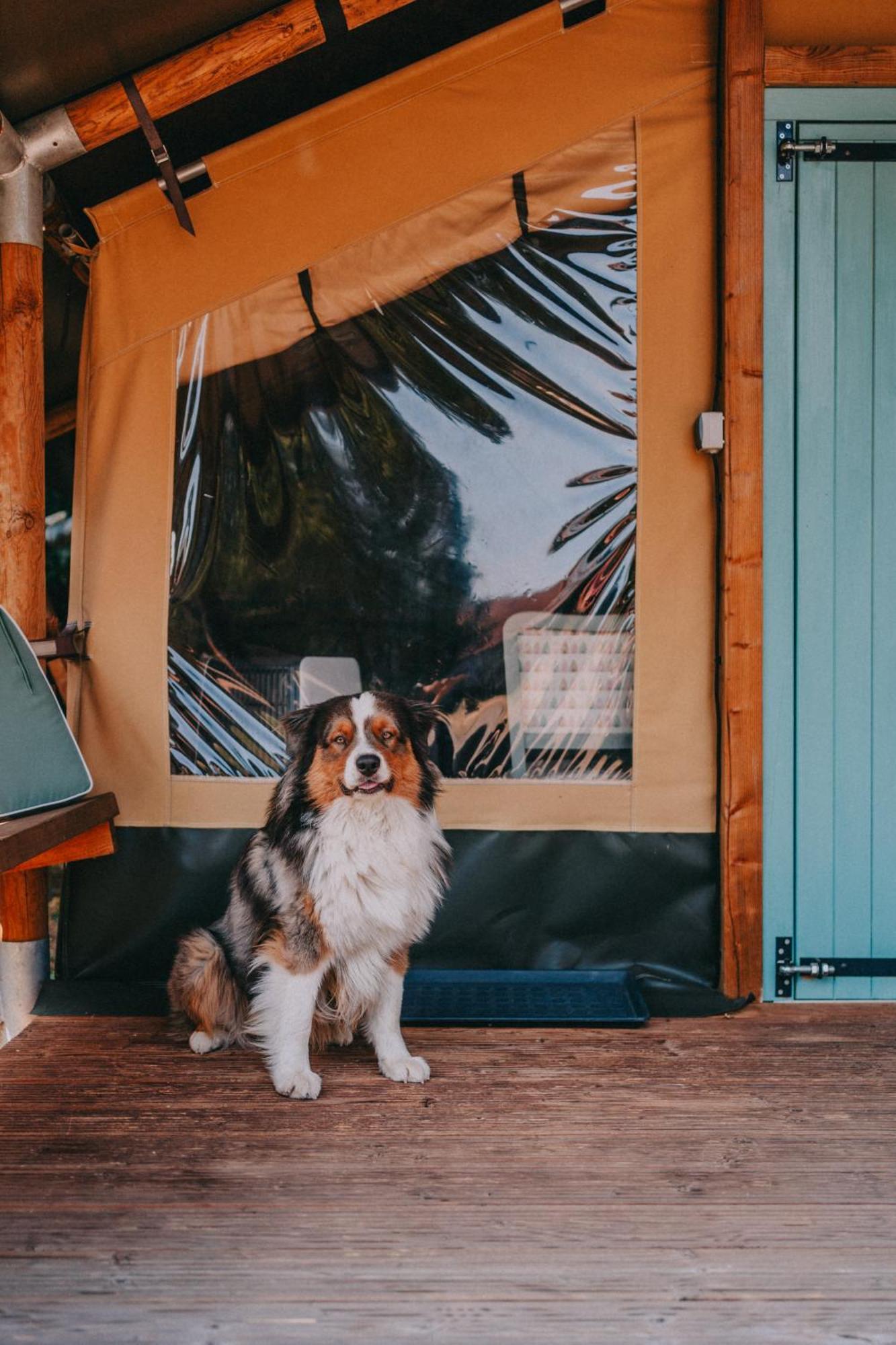 Rendes Glamping Hotel Balatonrendes Ngoại thất bức ảnh
